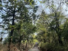 -江南天池