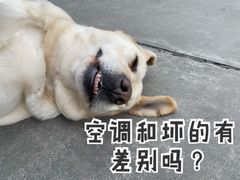 -小本家韩式烤肉(紫藤路店)