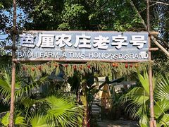 -芭厘农庄老字号·清远鸡