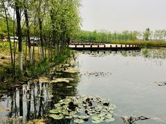 -绿堤公园