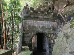 -铁山坪森林公园