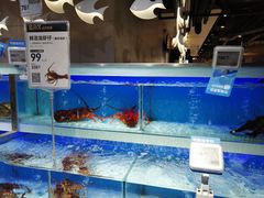 -盒马鲜生(枣园路店)