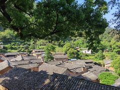 -杨家堂村
