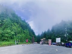 -武陵山森林公园