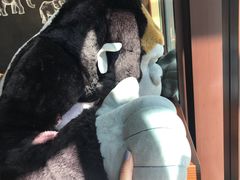-ZOO COFFEE动物园咖啡(望京锐创店)