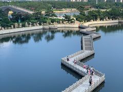 -莫内艺术岛海景咖啡