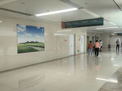 -中国人民解放军总医院