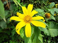 景点-湖光岩风景区