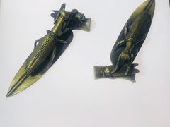 -上海昆虫博物馆