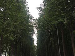 -莫斯科大学