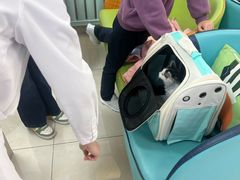 -北京观赏动物医院·24小时大型综合·猫专科·异宠专科