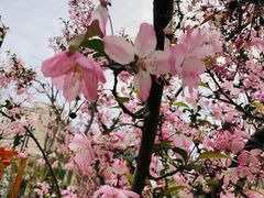 -上海中国航海博物馆