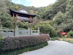 -十八棵（老龙井）御茶园(老龙井店)