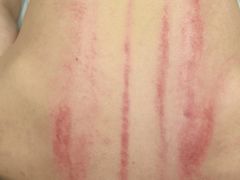 -万达广场(临港店)