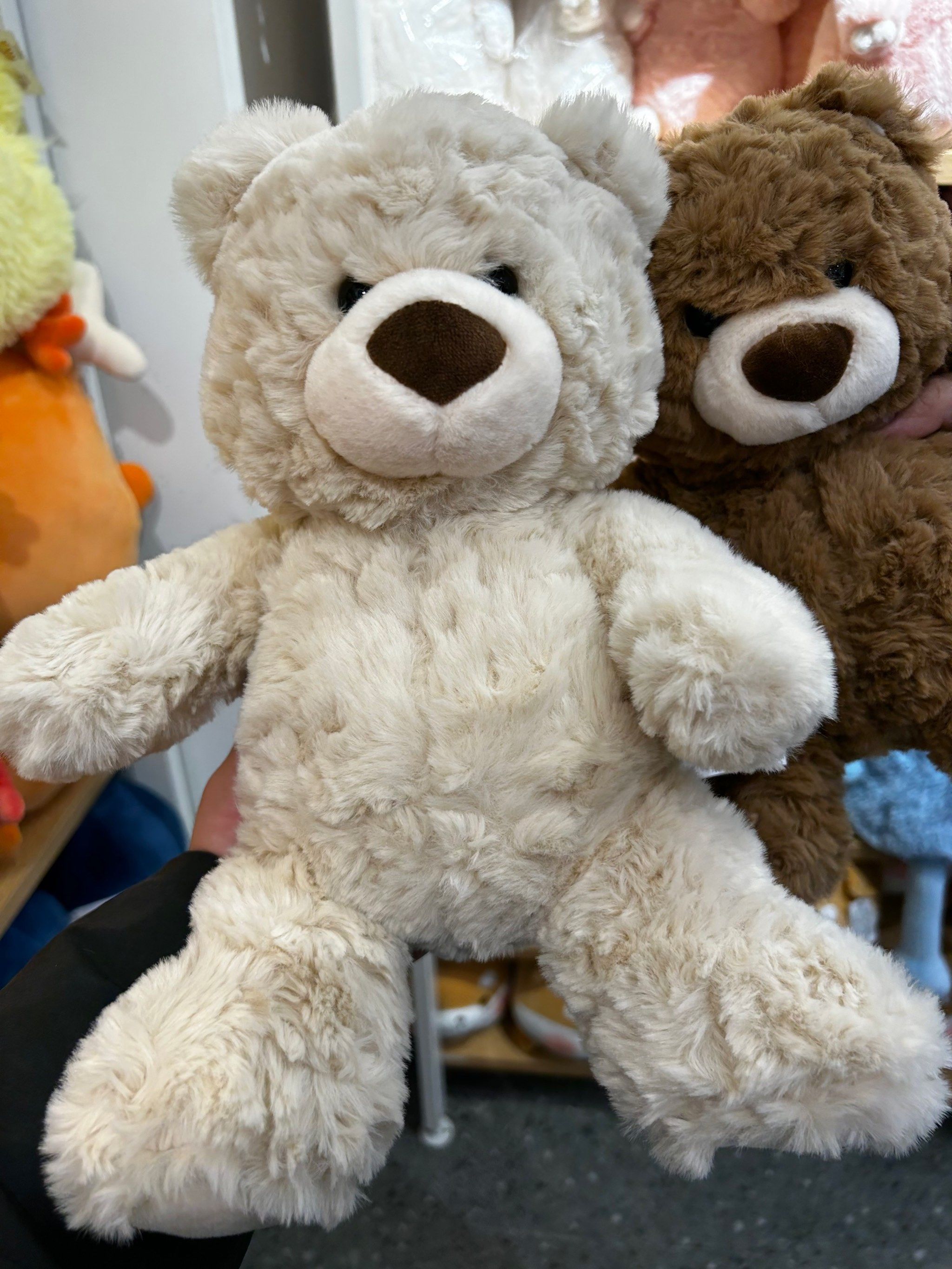 天天领红包#毛绒玩具 这这这么软 这么可爱的小熊