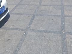 -曲阜东站