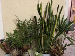 -百万叔(临湖店)