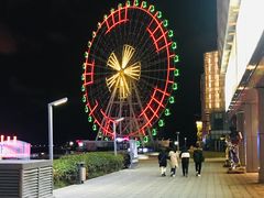 -琴岛之星摩天轮