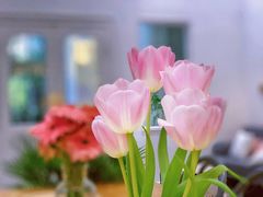 -CHEZ JASMINE 茉莉的氧气厨房