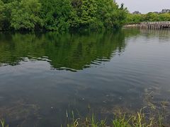 -新江湾城公园