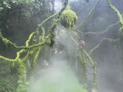 -腊山国家森林公园