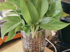 -村上一屋(望京店)