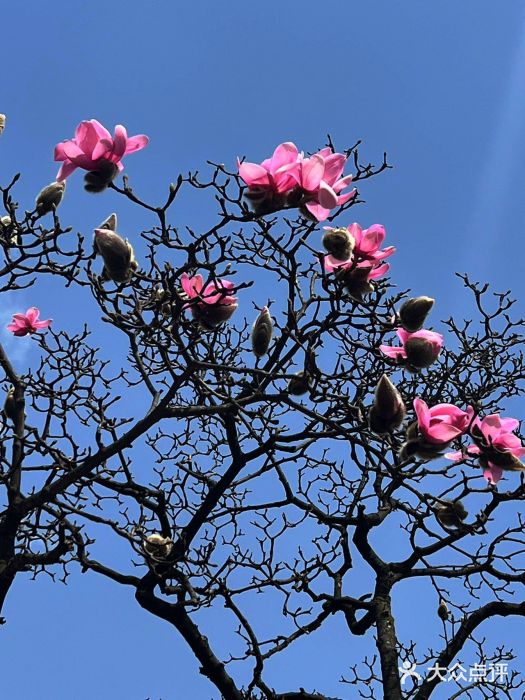 九皇山景区图片