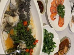 鲜花椒蒸青斑鱼-海湾壹品·粤菜·早茶·烤鸭(拱北店)