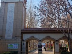 -大兴滨河森林公园