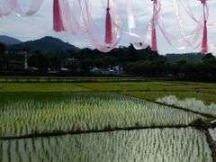 -红山村
