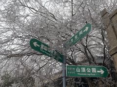 -紫金山山顶公园