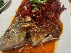 -杨氏青龙虾·羊蝎子(珠江路店)