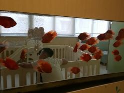 -杭州贝瑞斯美华妇儿医院·早孕·产检·儿科