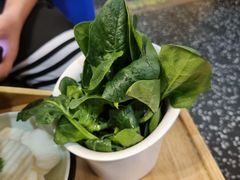 -洪氏嗨捞·猪肚鸡火锅(阳光天地店)