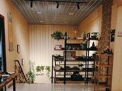 -素心斋素食餐厅