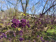 -西湖风景区-江洋畈生态公园