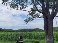 -汉长安城未央宫国家考古遗址公园