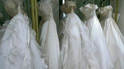 -柠檬树摄影(红谷滩店)