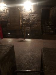 -翱翔飞越地平线