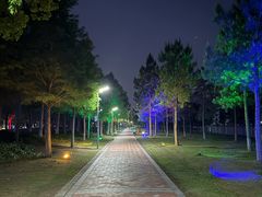 -苏州湾体育公园