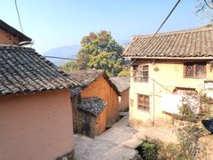 -杨家堂村