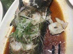 -海鲜城大家餐厅