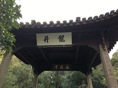 -龙井村