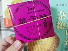 -白洋淀景区