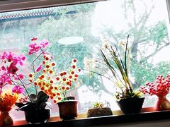-姚记炒肝店(鼓楼店)