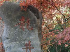 -龙井壹号·茶缘山景宴(龙井村店)