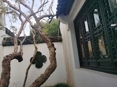 -上海醉白池公园