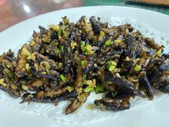 -天强农家菜馆