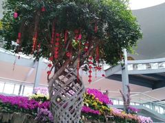 景点-南通洲际绿博园