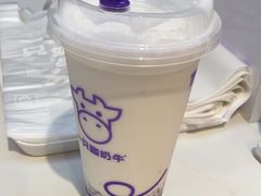 -一只酸奶牛(时代天街A馆店)